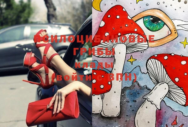 хмурый Костерёво